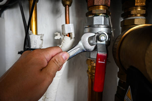 Best Emergency Plumbing Repair  in Pearl Beach, MI